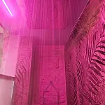 Villa Luxuite Con Piscina E Sauna O Con Jacuzzi E Doccia Emozionale Alberobello