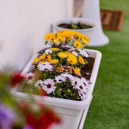 Luxuite Con Piscina O Jacuzzi Вилла